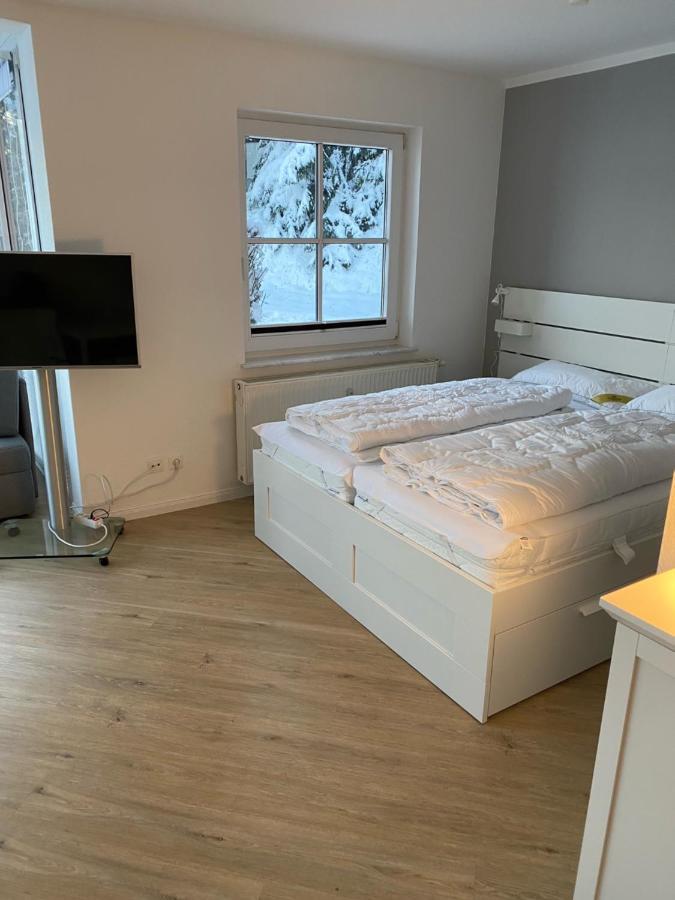 Harztraum-6 Apartman Braunlage Kültér fotó